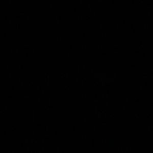 Meet your Posher, Gamal